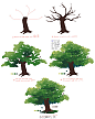 #绘画教程#树的绘制参考~