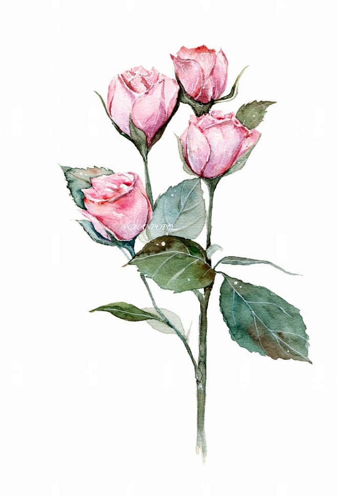 水彩-花瓣网|陪你做生活的设计师 | 时光漫长,有生之年,总会相遇.