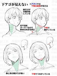 猫宿山采集到人体参考-基础—肌肉-骨骼-形体