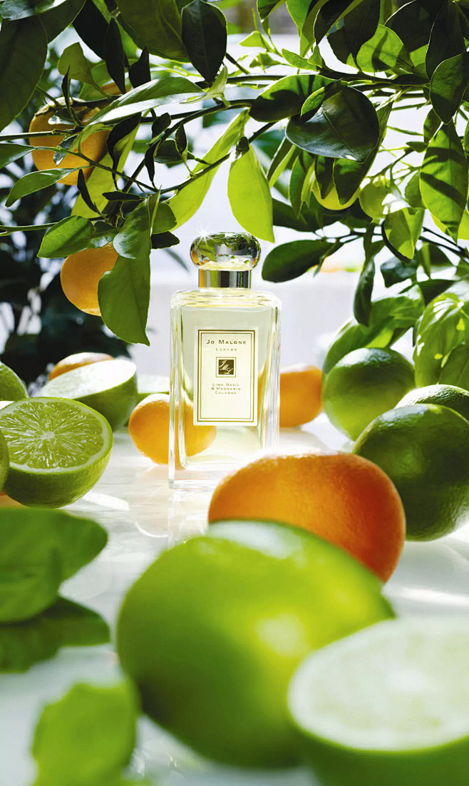 青柠罗勒与柑橘香水 Jo Malone China Site 罗勒的辛香与芳香四溢的白色百里香为青柠增添 奇妙的