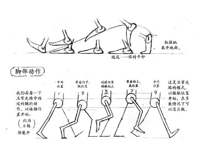 图文人的运动规律动画运动规律走路规律走路动画原画百度文库