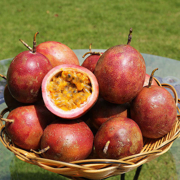 果蔬百香果10个装顺丰空运新鲜无公害放心水果1号店