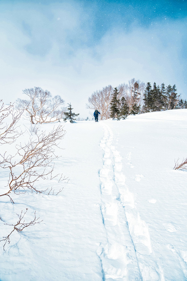 冬季雪景图片大全下雪图片