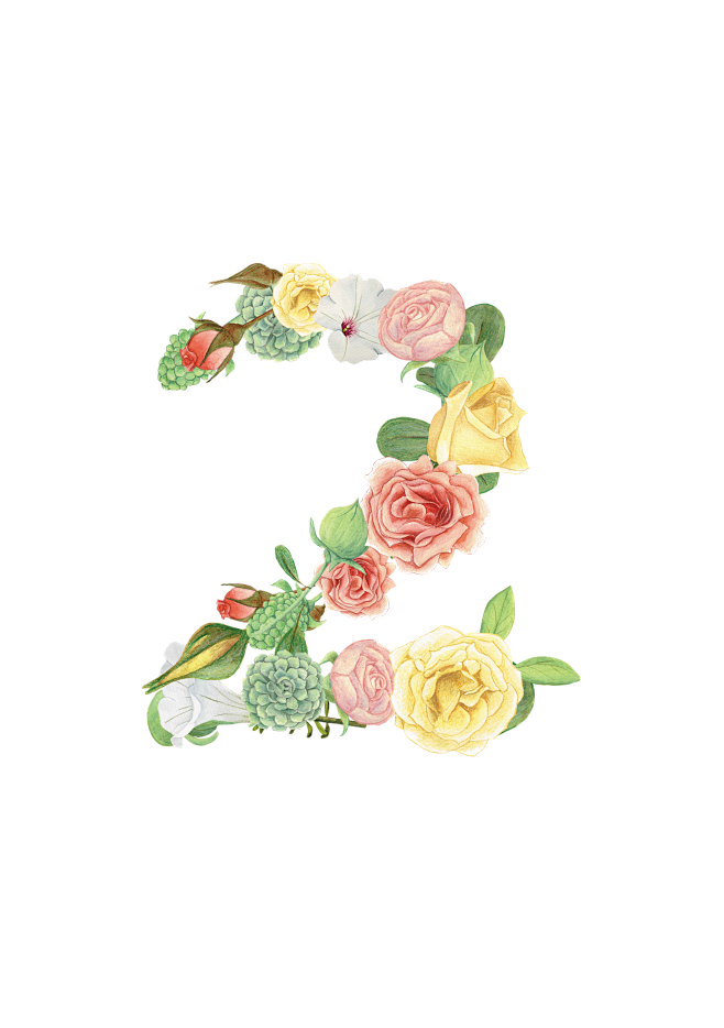 花朵数字1234567890阿拉伯数字png