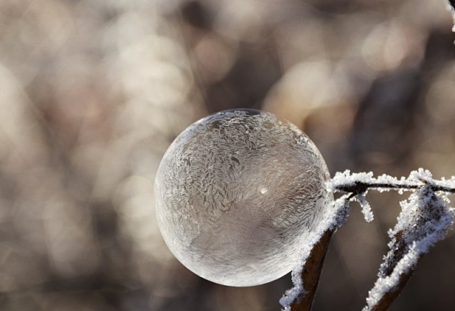 雪花高清圖片