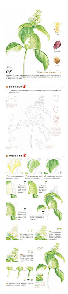 瑾喻采集到彩铅教程(静物)