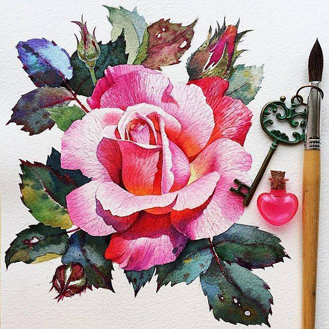 水彩玫瑰samirayanushkova