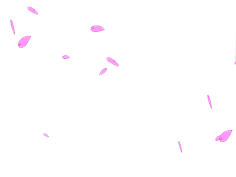 九尾狐心素材 花瓣网 陪你做生活的设计师 动态花瓣的搜索结果 百度图片搜索