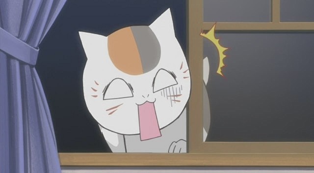 炸毛的猫咪老师