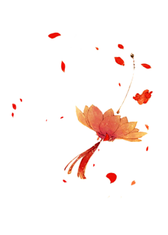 LYP_1227采集到免抠素材(PNG)