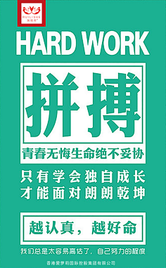 空城5566采集到平面