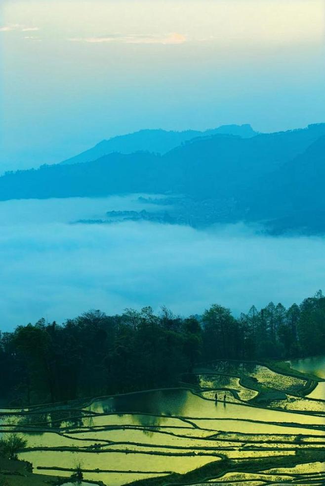 人间奇迹元阳梯田文章中国国家地理网