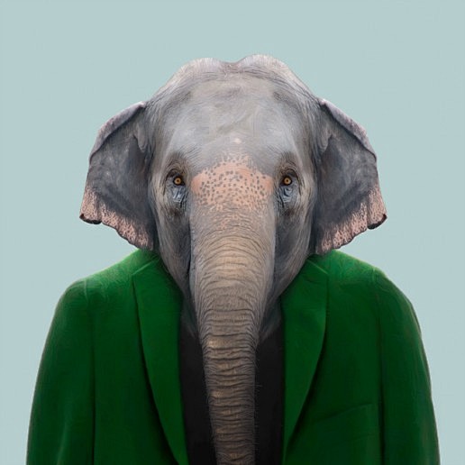 【图片】兽首人身