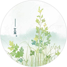 一方薄凉采集到花绘