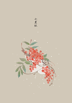 芍药居一霸采集到不知道叫啥名