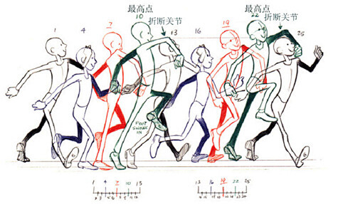 动漫设计动画运动规律之行走下