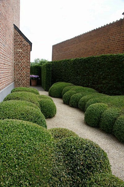 景观绿篱植物设计图集下载绿墙模纹花坛法式园林花园植物树木修剪迷宫