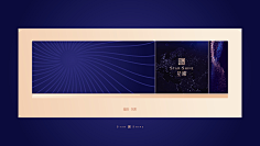 Rafaelove采集到VI