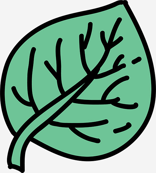 简笔画树叶高清素材卡通树叶手绘树叶简笔画绿色树叶免抠png设计图片