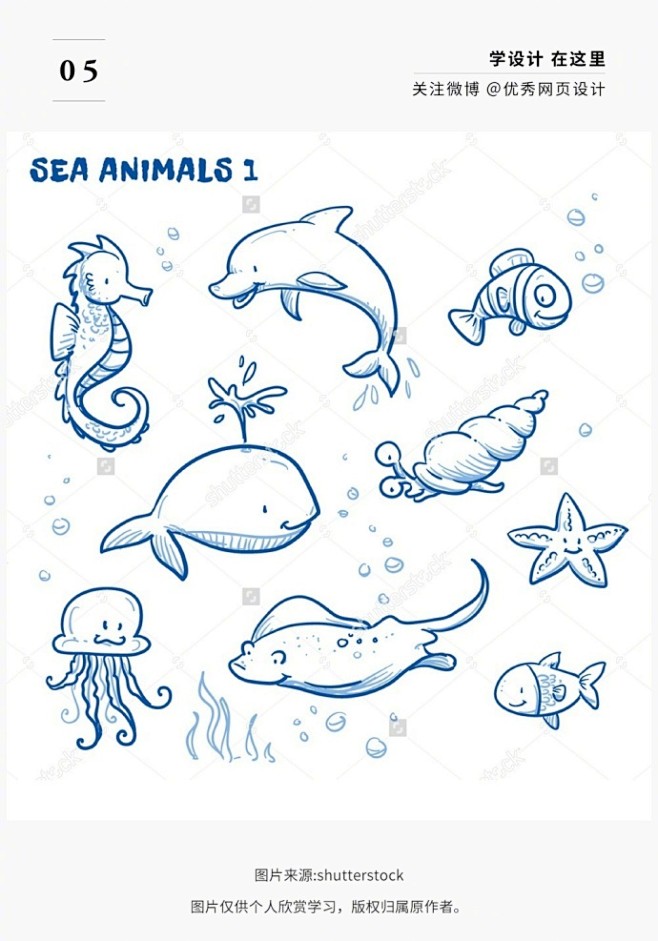 海洋生物仿生设计手绘图片