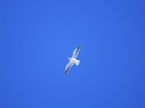 【记忆中的歌词】当我尝尽人情冷暖,当你决定