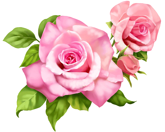 png素材免抠图漂浮素材植物素材花朵素材