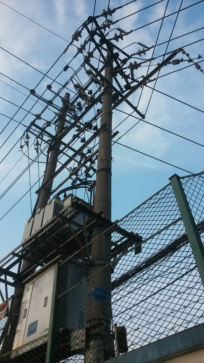 电线杆1