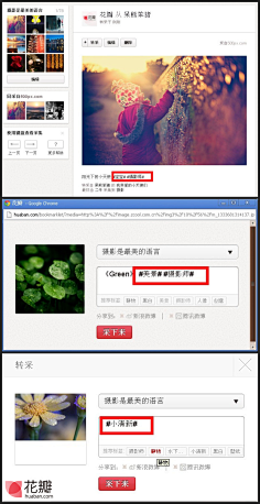 花瓣采集到花瓣大事儿小事儿记