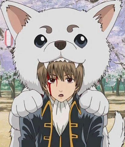 银魂-花瓣网|陪你做生活的设计师 | 银魂 定春的搜索结果_百度图片