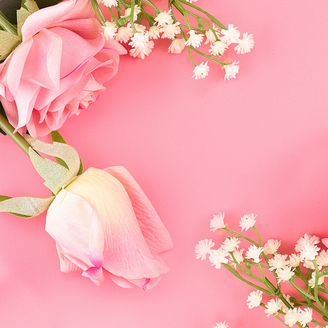 淡粉色花朵背景图图片