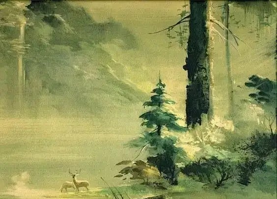狐碟飞采集到小鹿乱撞