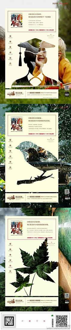 金鱼_Jenny采集到地产(学府)