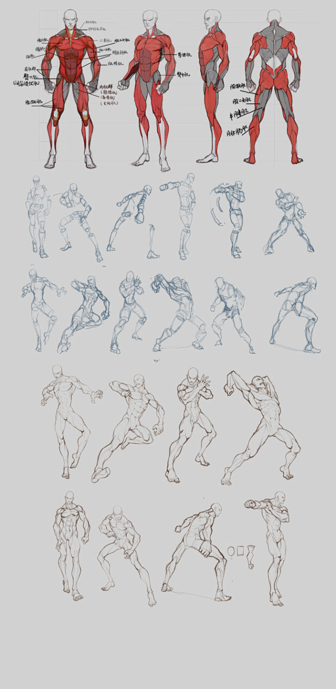 透明人2580xmu新浪博客