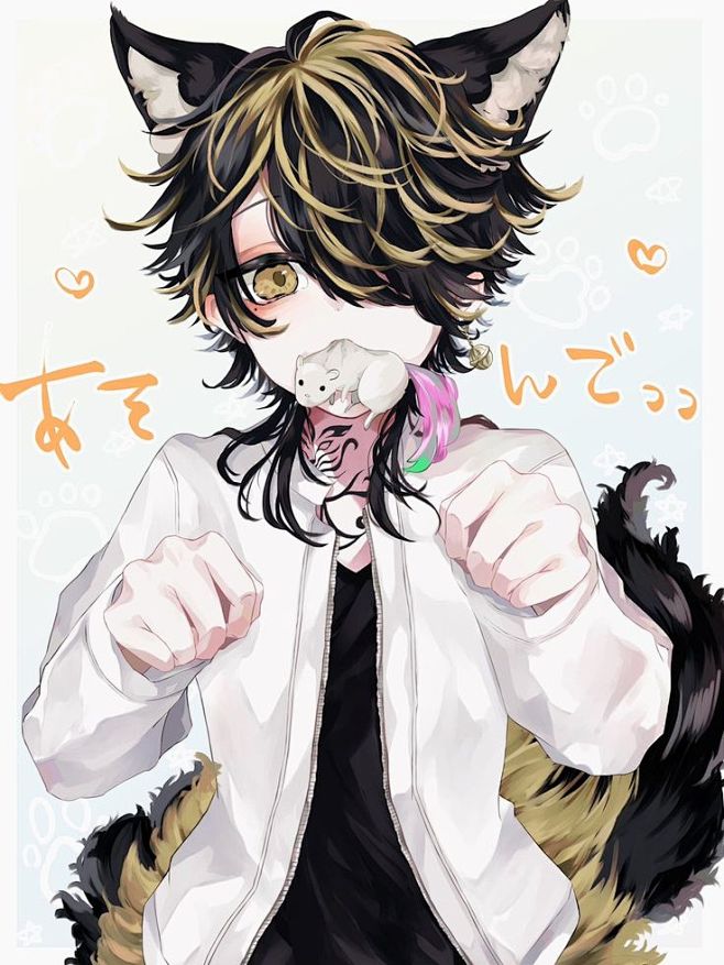 东京卍复仇者芭流霸罗羽宫一虎