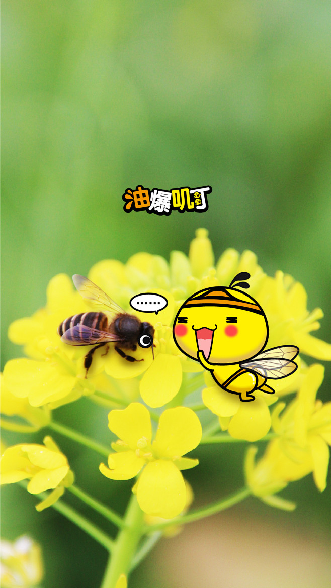2gua采集到生活之韵