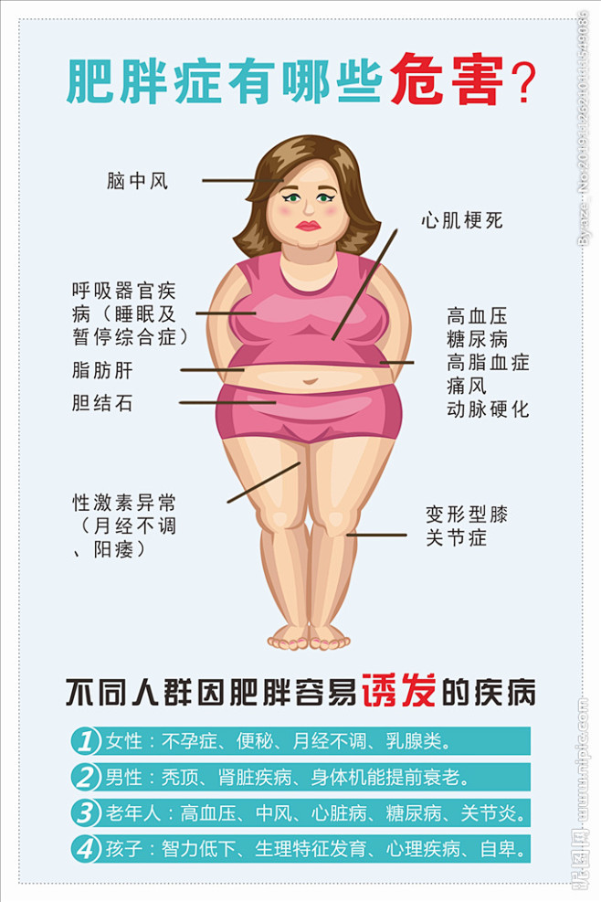肥胖的危害原图图片