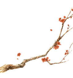 677-廖琦琦采集到素材花草