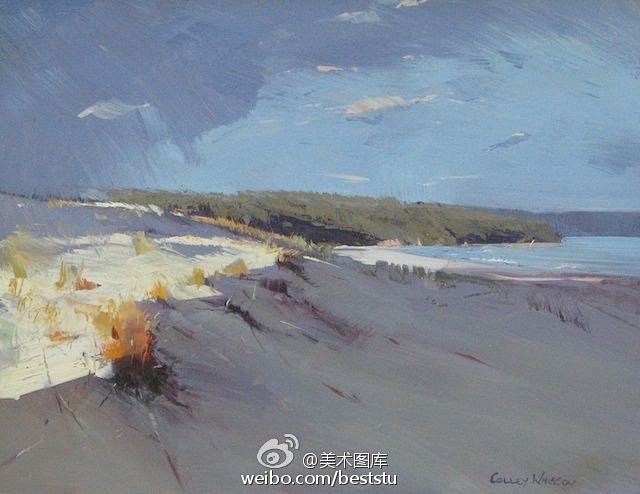 小澈的红杉树海采集到美丽色彩