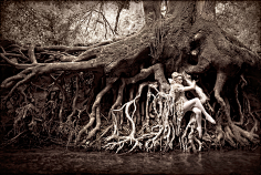 湖畔阴影采集到克里斯蒂·米切尔(Kirsty Mitchell),英国摄影师