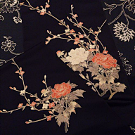 沐语花蕾采集到素材
