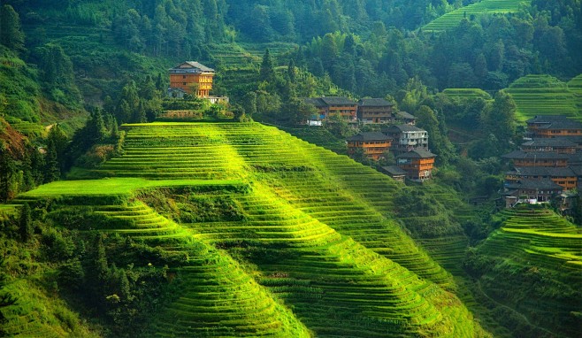 general2500x1453terracedfieldlandscapehillchina
