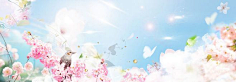 叶之无舞蝶采集到【海报banner】文艺/清新/简约