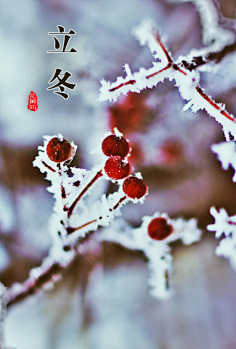 花瓣采集到花瓣说民俗