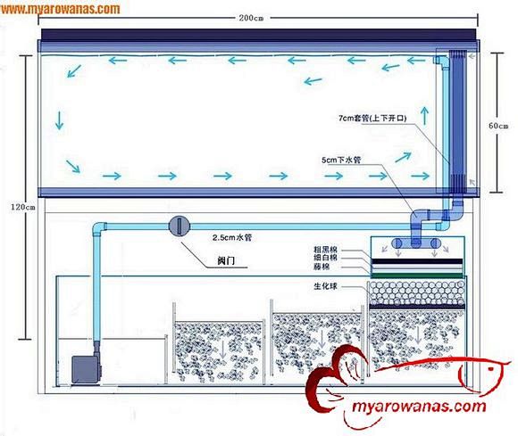 ▇▇▇▇鱼缸过滤系统制作图集合▇▇▇▇罗汉鱼乐园吧百度贴吧