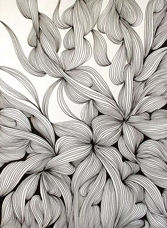 com 手绘训练,从最基础的线条开始 toutiao.