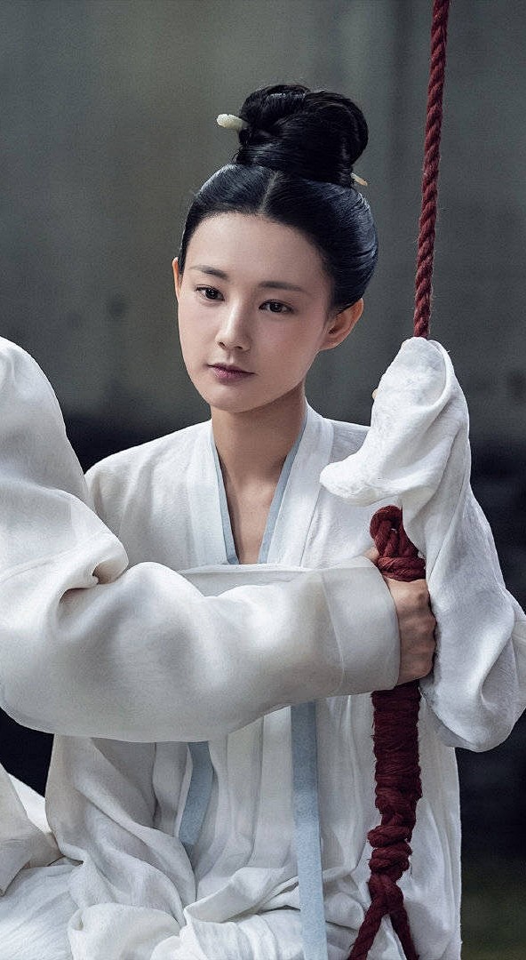 李一桐鹤唳华亭