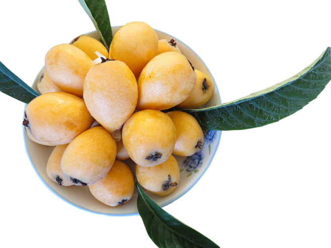 水果 枇杷俯视图png素材