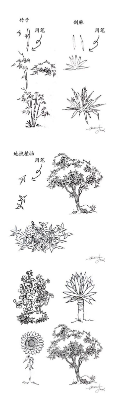 大鲨鱼咯采集到建筑手绘