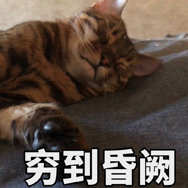 月底了表情包又来了br大家又妹钱了叭转里送个500叭br你们那今天冷不