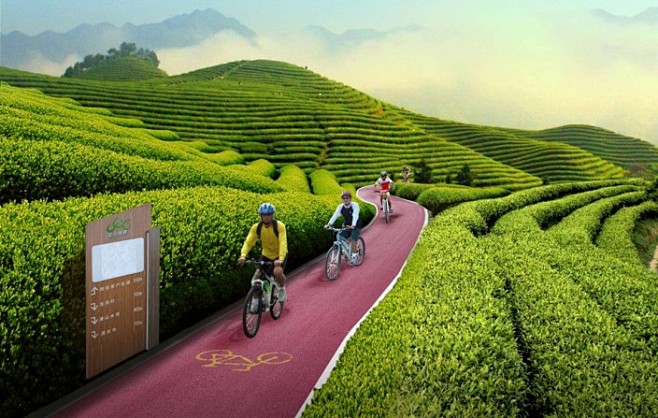 骑自行车旅游管理知识点(骑自行车旅游需要注意和准备什么)